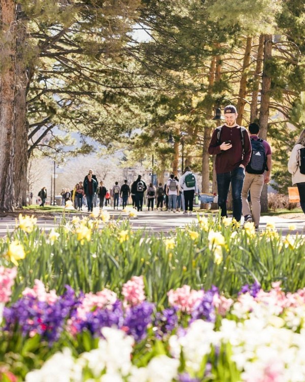 Flowers bloom as students walk down the sidewalk near the Quad in Logan